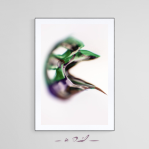 HUMAN - PRIVATE COLLECTION - - Imagen 2