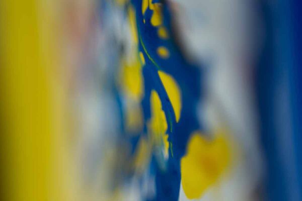 FLOW - PRIVATE COLLECTION -